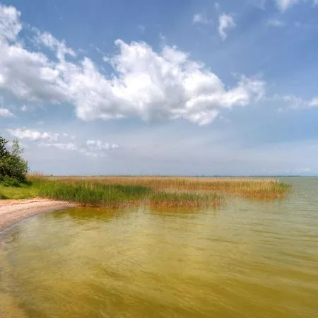 Vakantiehuis At The Saaler Bodden