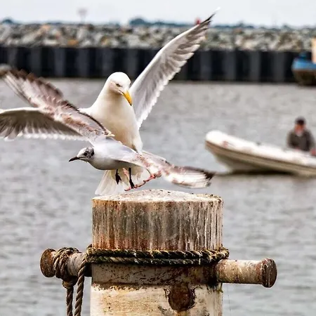 At The Saaler Bodden Saal