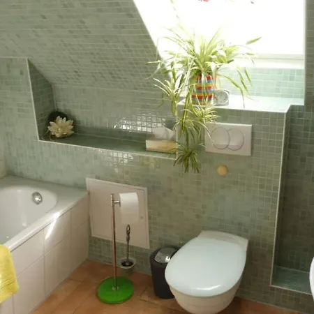 At The Saaler Bodden *