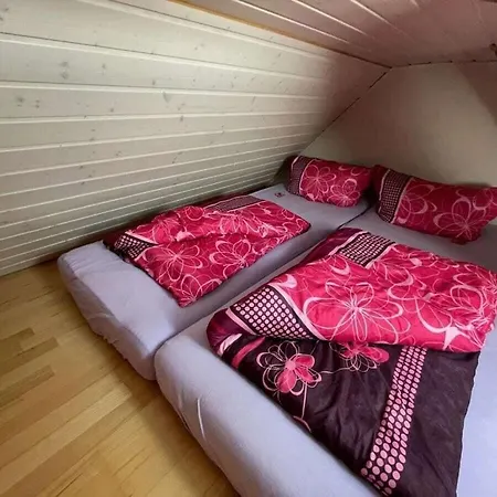 At The Saaler Bodden *