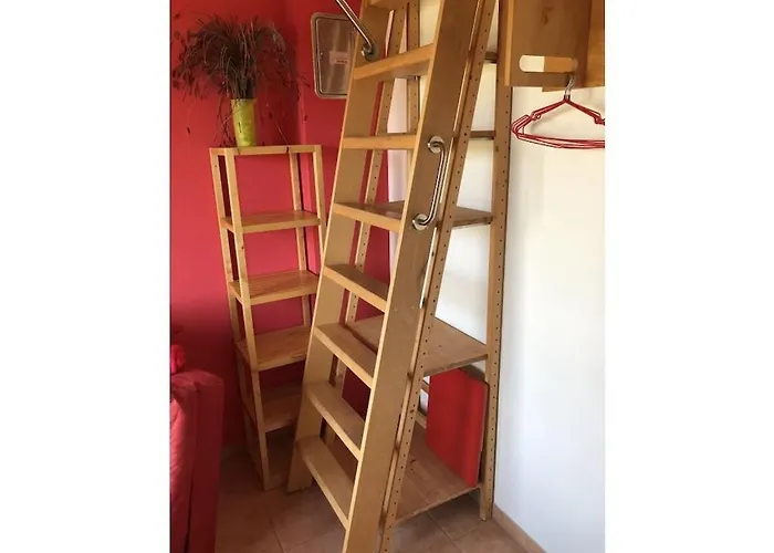 At The Saaler Bodden Holiday home Saal